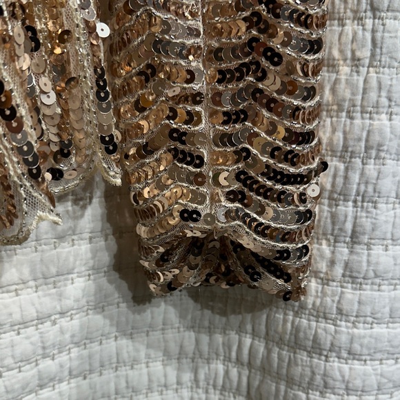 Endless Rose Golden Sequin Party Ready Long Sleeve Top V Neck Back Size XS NWT - Picture 8 of 8